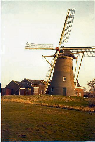 Maasland 8 ca 1980