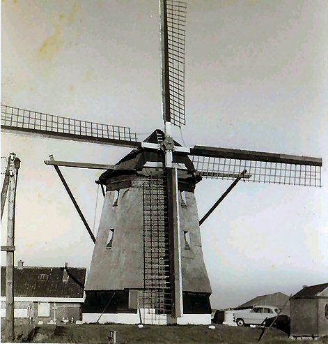 Nieuwlandse molen rond 1950