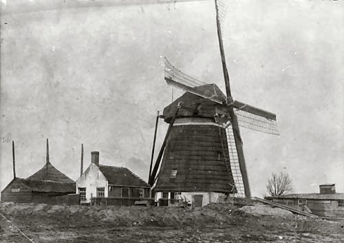 Delft molen bieslandsekade ca 1900