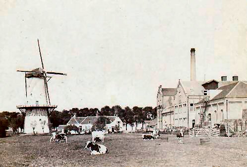 Delft het fortuin ca 1890 2