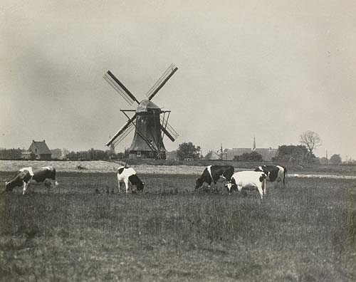 Schipluiden woudsche droogmakerij ca 1935